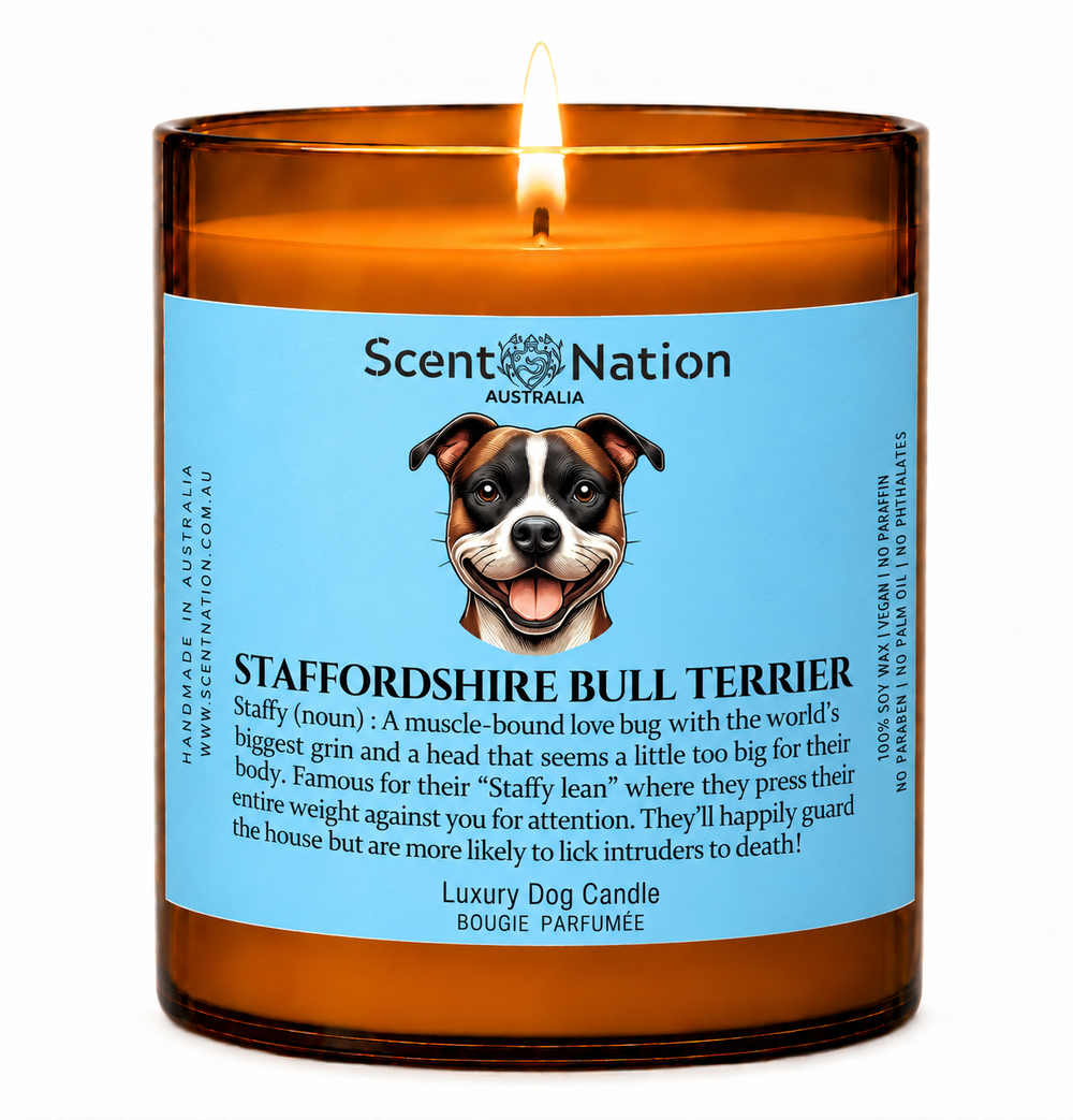 Staffy gifts: Staffordshire Bull Terrier dog candle, Large 285g amber soy jar with a blue label, a cartoon Staffy and a funny dog-noun definition, Scent Nation Australia