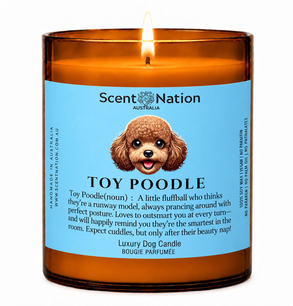 Toy Poodle gifts: Toy Poodle dog candle, Large 285g amber soy jar with a blue label, a cartoon Toy Poodle and a funny dog-noun definition, Scent Nation Australia