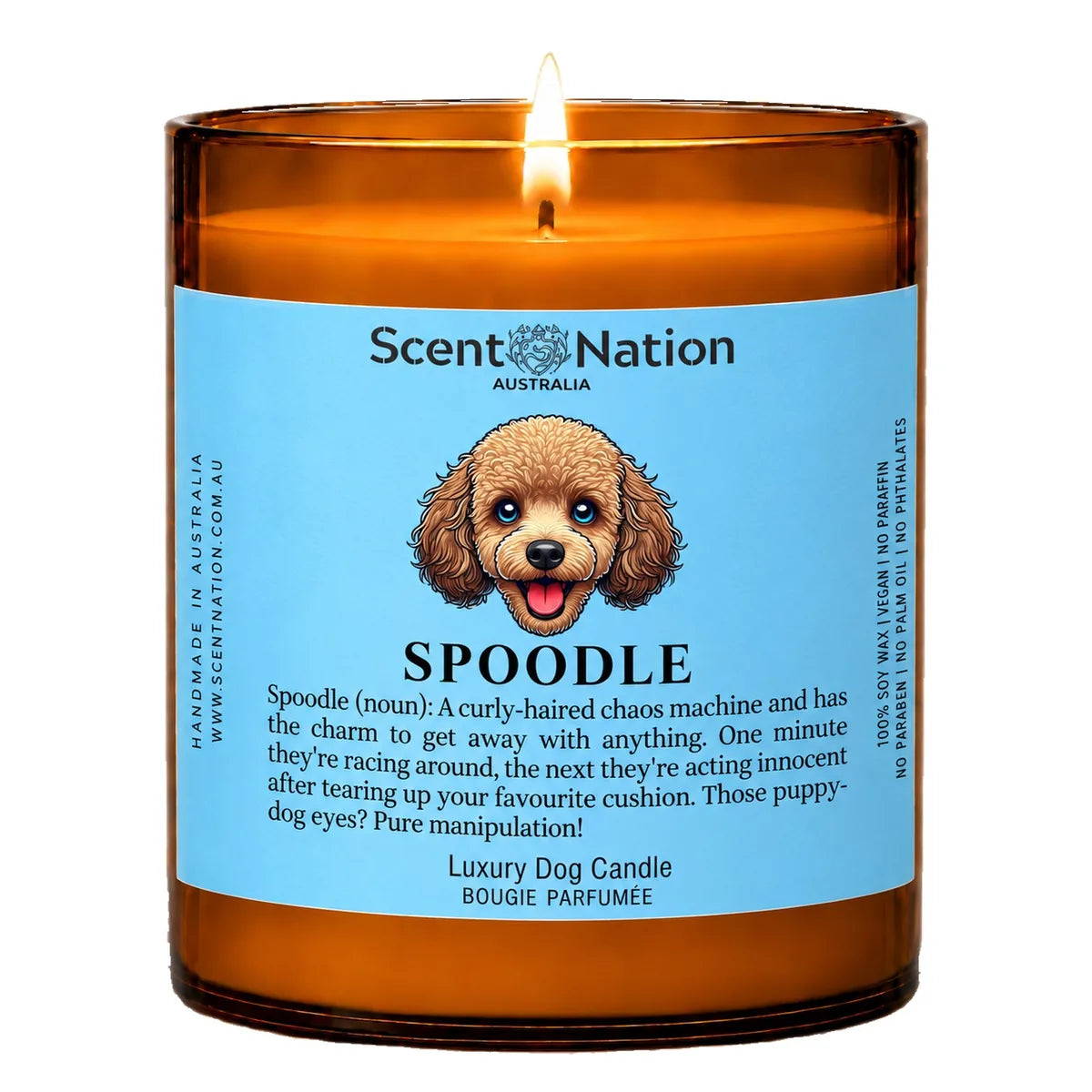 Spoodle Dog Gifts – Spoodle dog noun candle with a hand-drawn portrait and funny dictionary definition on a baby-blue label, Large 285g amber jar, for dog lovers in Australia