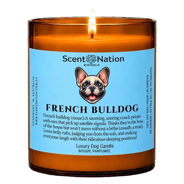 French Bulldog Dog Gifts – French Bulldog dog noun candle with a hand-drawn portrait and funny dictionary definition on a baby-blue label, Large 285g amber jar, for dog lovers in Australia