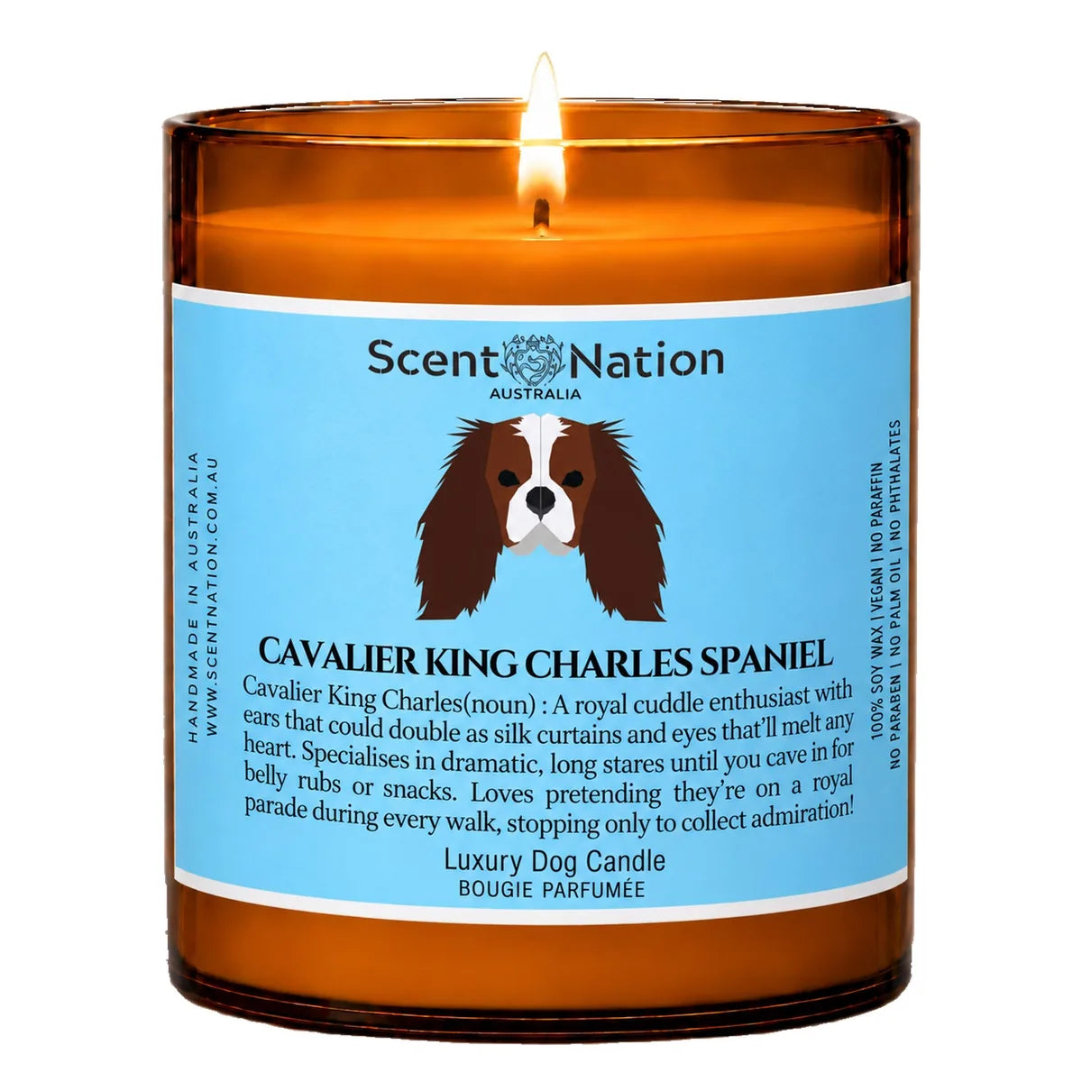 Cavalier King Charles Spaniel Dog Gifts – Cavalier King Charles Spaniel dog noun candle with a hand-drawn portrait and funny dictionary definition on a baby-blue label, Large 285g amber jar, for dog lovers in Australia