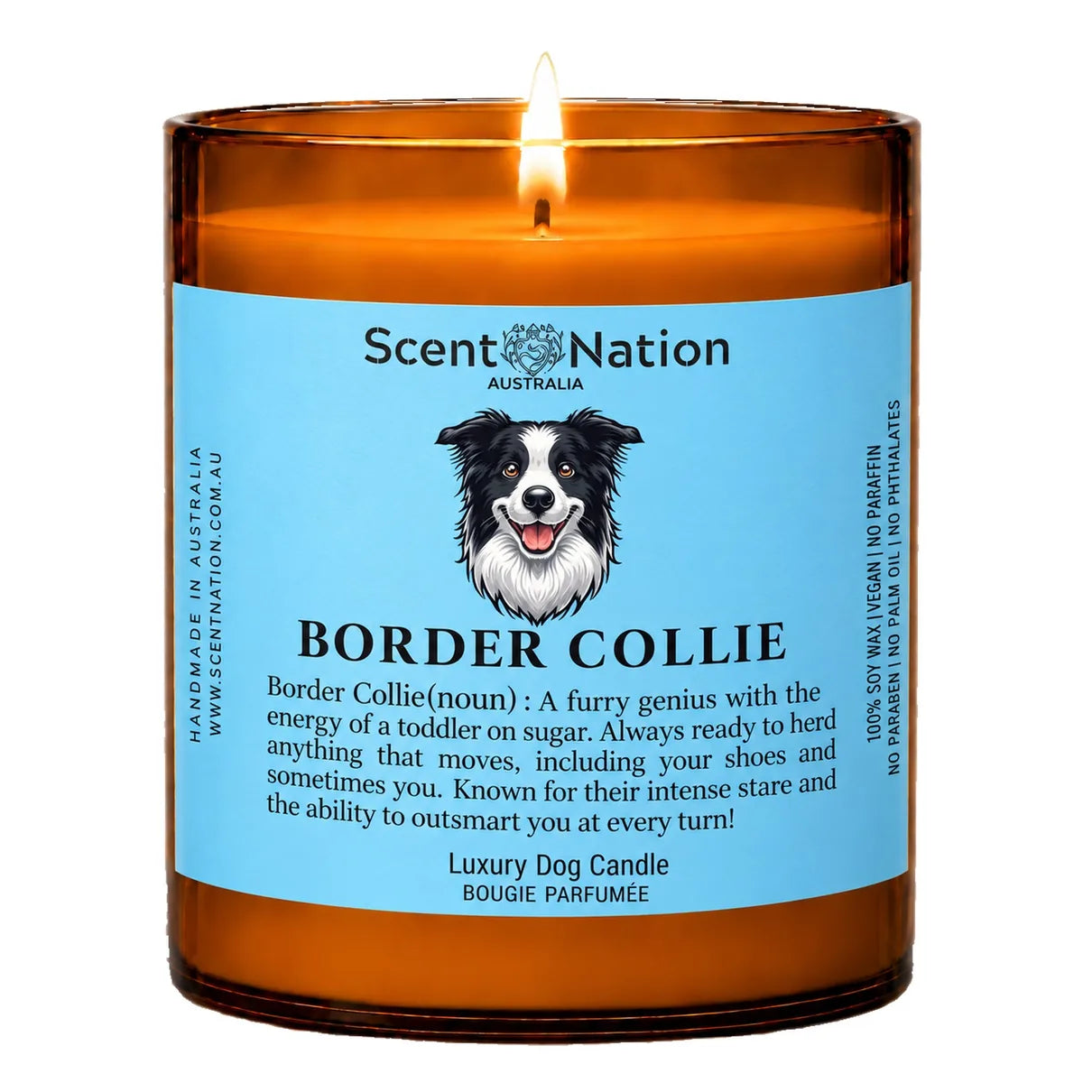 Border Collie Dog Gifts – Border Collie dog noun candle with a hand-drawn portrait and funny dictionary definition on a baby-blue label, Large 285g amber jar, for dog lovers in Australia