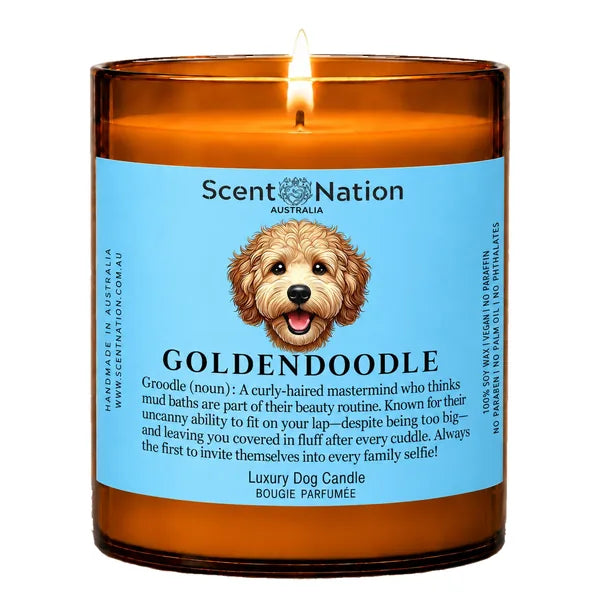 Groodle (Golden Doodle) Dog Gifts – Groodle (Golden Doodle) dog noun candle with a hand-drawn portrait and funny dictionary definition on a baby-blue label, Large 285g amber jar, for dog lovers in Australia