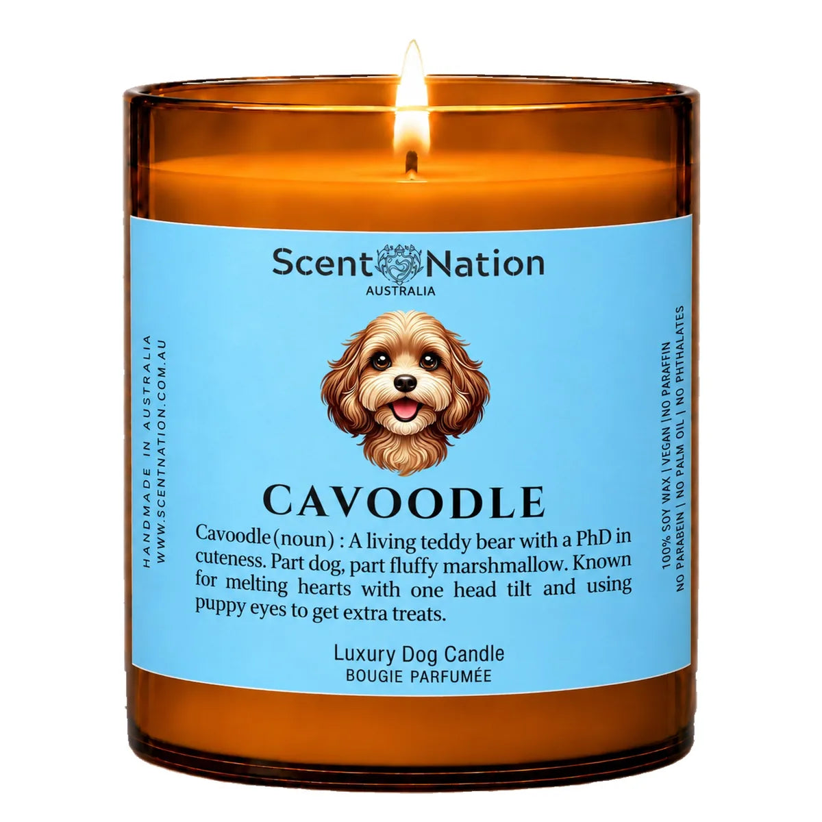 Cavoodle Dog Gifts – Cavoodle dog noun candle with a hand-drawn portrait and funny dictionary definition on a baby-blue label, Large 285g amber jar, for dog lovers in Australia