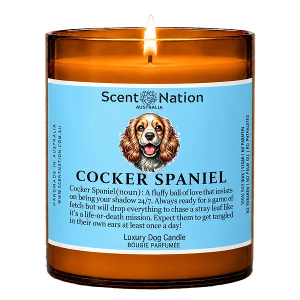 Cocker Spaniel Dog Gifts – Cocker Spaniel dog noun candle with a hand-drawn portrait and funny dictionary definition on a baby-blue label, Large 285g amber jar, for dog lovers in Australia