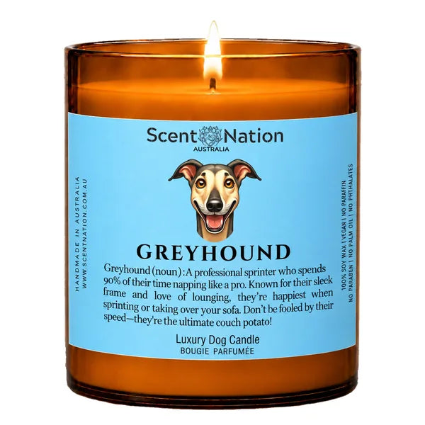 Greyhound Dog Gifts – Greyhound dog noun candle with a hand-drawn portrait and funny dictionary definition on a baby-blue label, Large 285g amber jar, for dog lovers in Australia