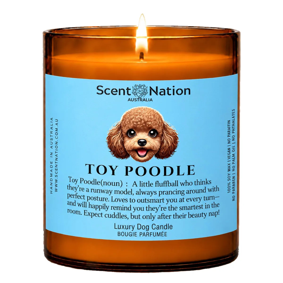 Toy Poodle Dog Gifts – Toy Poodle dog noun candle with a hand-drawn portrait and funny dictionary definition on a baby-blue label, Large 285g amber jar, for dog lovers in Australia