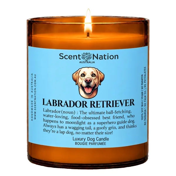 Labrador Dog Gifts – Labrador dog noun candle with a hand-drawn portrait and funny dictionary definition on a baby-blue label, Large 285g amber jar, for dog lovers in Australia