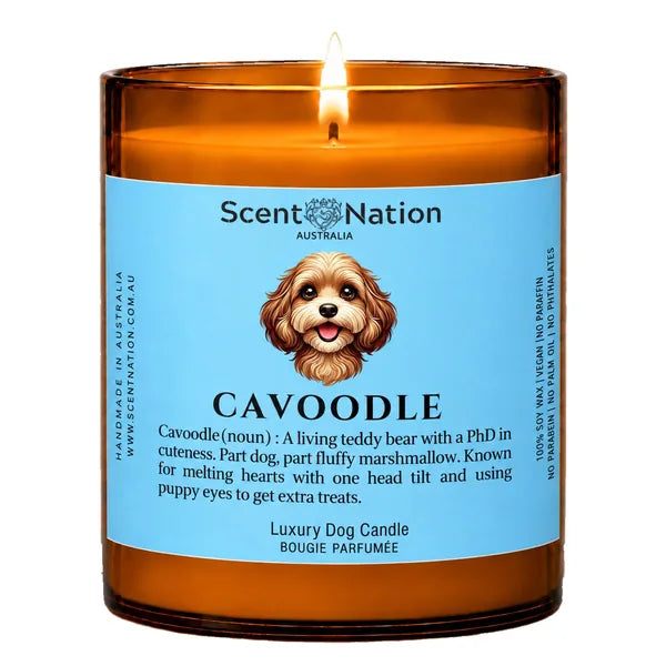 Cavoodle Dog Gifts – Cavoodle dog noun candle with a hand-drawn portrait and funny dictionary definition on a baby-blue label, Large 285g amber jar, for dog lovers in Australia